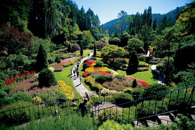 Victoria and Butchart Gardens Tour From Vancouver - Traveler Reviews