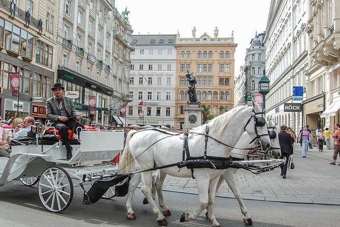 Vienna Guided Group Walking Tour - Inclusions and Exclusions