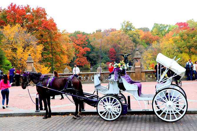 VIP Horse Carriage Ride Through Central Park (Up to 4 Adults) - Booking Information and Terms
