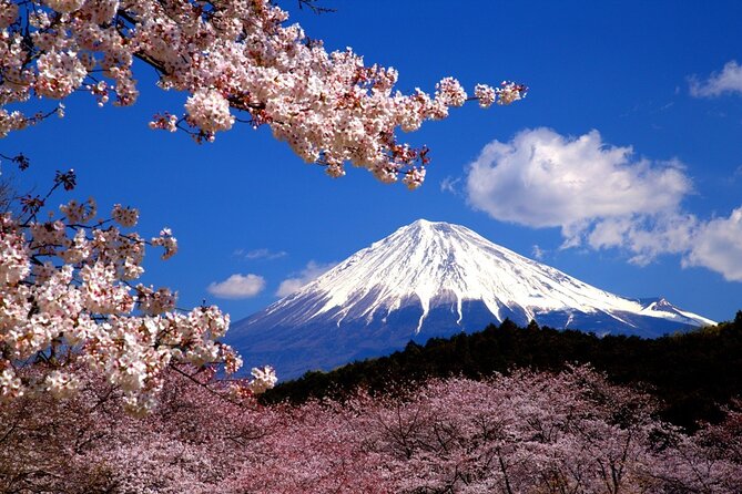 Virtual Tour to Discover Mount Fuji - Virtual Experience