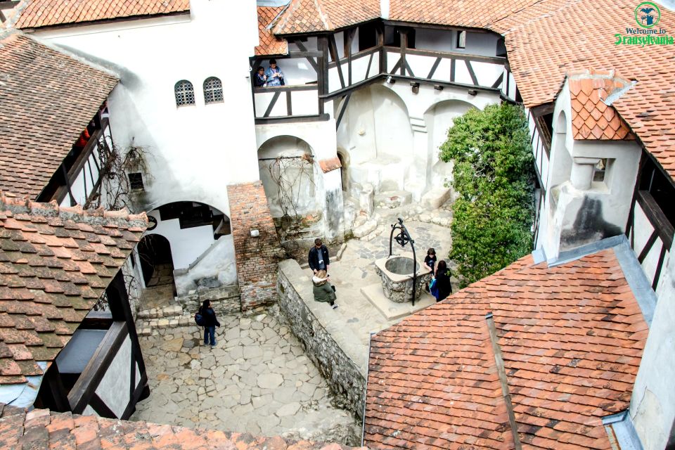 Visit Bear Sanctuary and Bran Castle From Brasov - Sightseeing Highlights