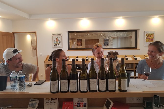 Visit Domaine Bourgogne - Guided Wine Tasting - Experience Highlights