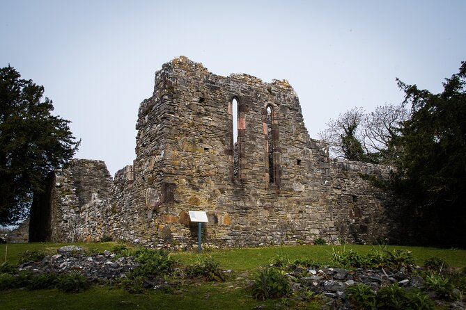 Visit Innisfallen Island - Sika Deer Encounters