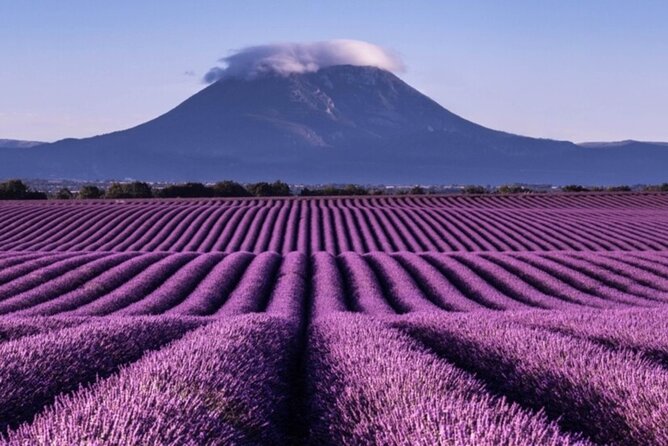 Visit the Lavender Fields, the Gorges Du Verdon and Moustiers. - Moustiers: Charming Provencal Village