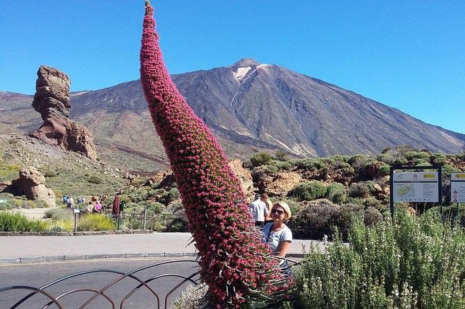 Volcano Teide - Masca Ravine. Guided Tour From Puerto De La Cruz - Tenerife - Booking and Logistics
