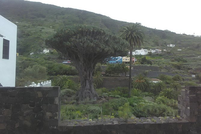 Volcano Teide National Park And North Of The Island VIP TOUR - Inclusions and Logistics