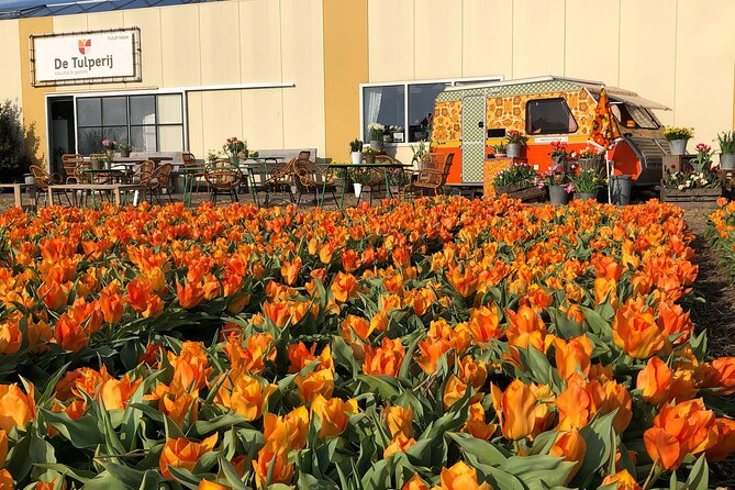 Voorhout Dutch Tulip Farm Guided Visit (Mar ) - Traveler Amenities