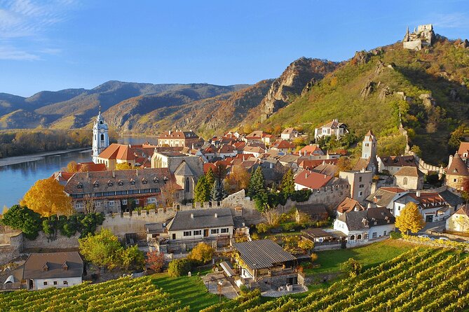 Wachau Valley Vines: A Culinary and Cultural Private Experience - Reviews and Ratings