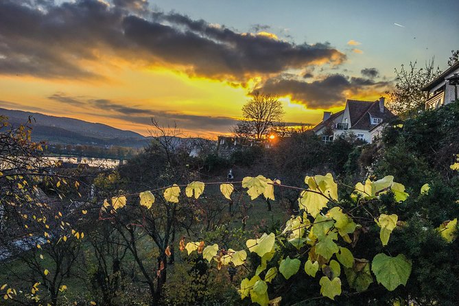 Wachau Winter Walk - Tour Details