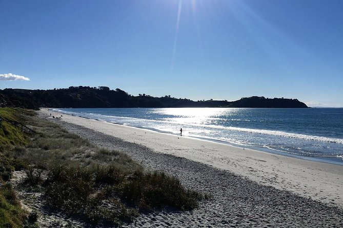 Waiheke Island Bush & Beach Walk - Logistics and Itinerary