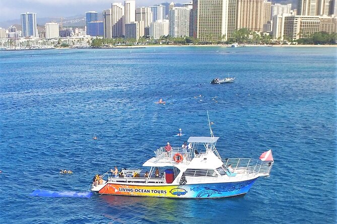Waikiki: Turtle Canyon Snorkeling Tour From Honolulu  - Oahu - Meeting and Pickup Information