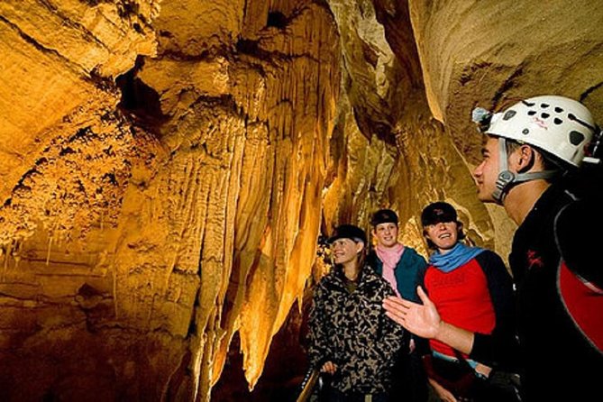 Waitomo Caves Private Driver for Tour - Additional Details