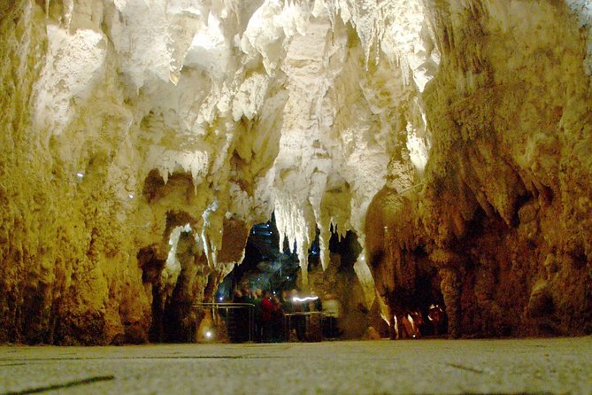 Waitomo Glowworm Caves In a Private Small Group Tour-Auckland. - Customer Reviews