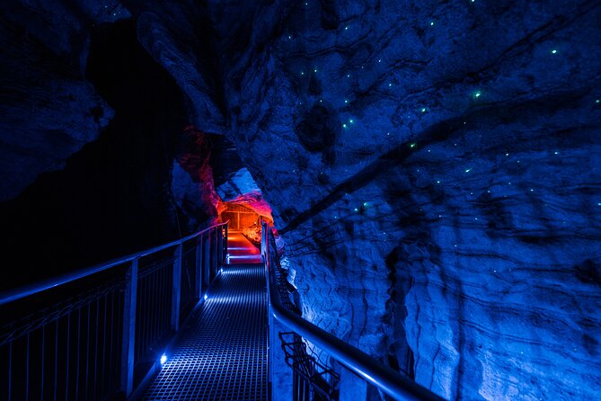 Waitomo Glowworm & Ruakuri Twin Cave - Private Tour From Auckland - Guided Tours Overview