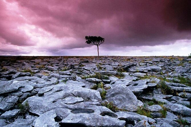Walk in Burren National Park Clare. Guided. 4 Hours. - Inclusions and Meeting/Pickup Details