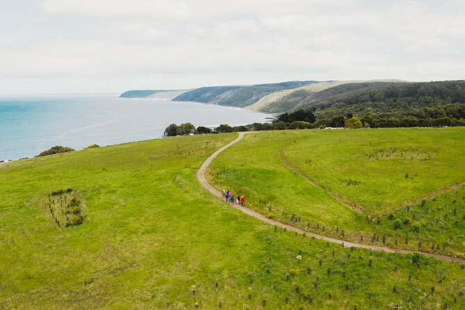 Walk With Wildlife: Guided Tour in Great Ocean Road - Inclusions and Logistics