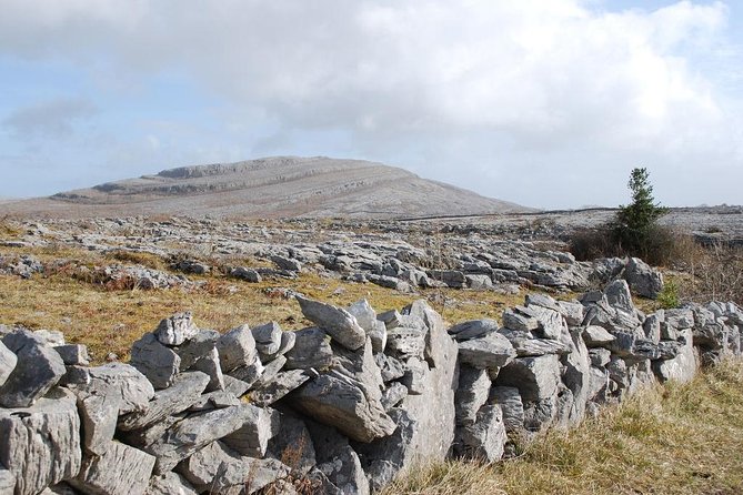 Walking in the Unique Burren Landscape & Perfumery Visit. Clare. Guided 4 Hrs - Last Words