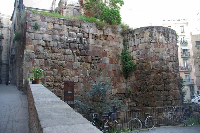 Walking Tour of the Gothic Quarter of Barcelona Cathedral - Historical Insights