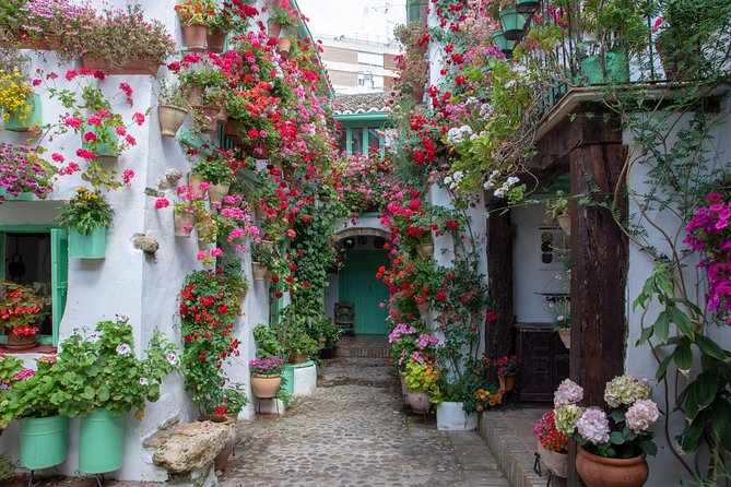 Walking Tour of the Patios of San Basilio in Cordoba - Ethnographic Museum Visit