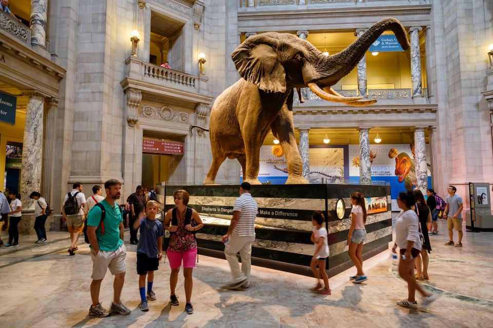 Washington DC: Museum of Natural History Private Guided Tour - Experience Highlights