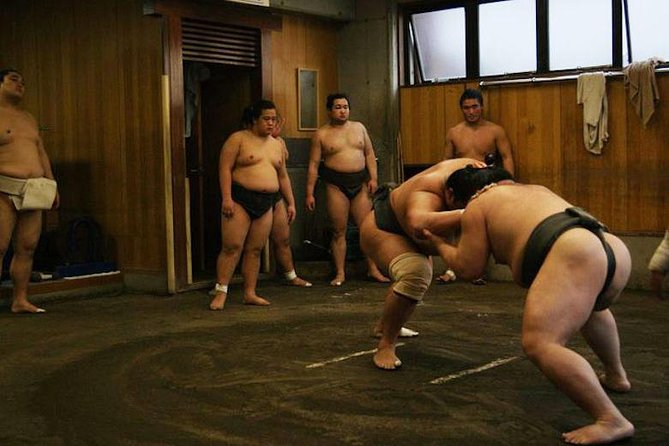 Watch Sumo Morning Practice at Stable in Tokyo - Visitor Experiences