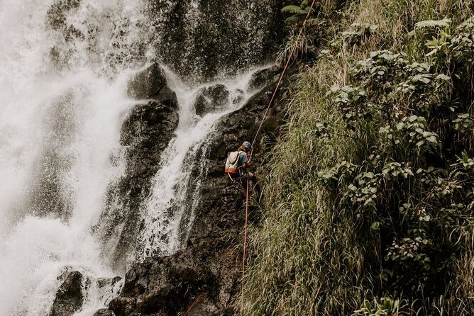 Waterfall Rappelling at Kulaniapia Falls: 120 Foot Drop, 15 Minutes From Hilo - Inclusions and Exclusions