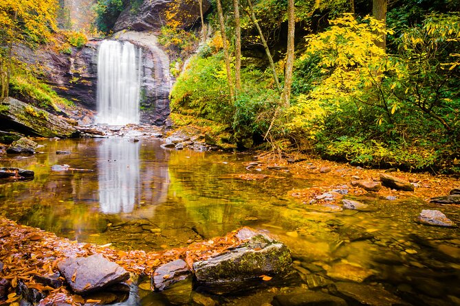 Waterfalls and Blue Ridge Parkway Hiking Tour With Expert Naturalist - Booking Information