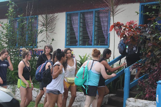 Waterfalls (Biausevu) Tour- Fijian Village&Pre-School/Light Lunch Ex Coral Coast - Kava Welcome Ceremony