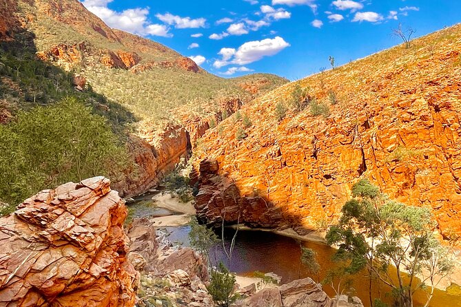 West Macdonnell Ranges & Standley Chasm Day Trip From Alice Springs - Reviews