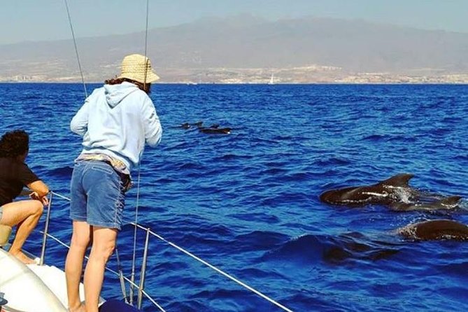 Whale and Dolphin Small Group Sailing From Tenerife South - Accessibility and Logistics