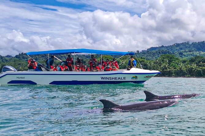 Whale Watching at the Marino Ballena National Park - Customer Reviews