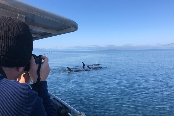 Whale Watching Charters Through Icy Strat Alaska - Inclusions and Logistics