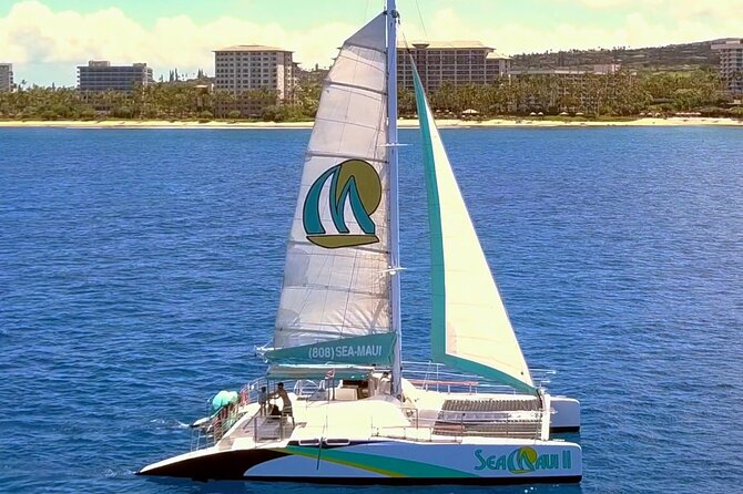 Whale Watching Cruise With Open Bar From Kaanapali Beach - Cancellation Policy