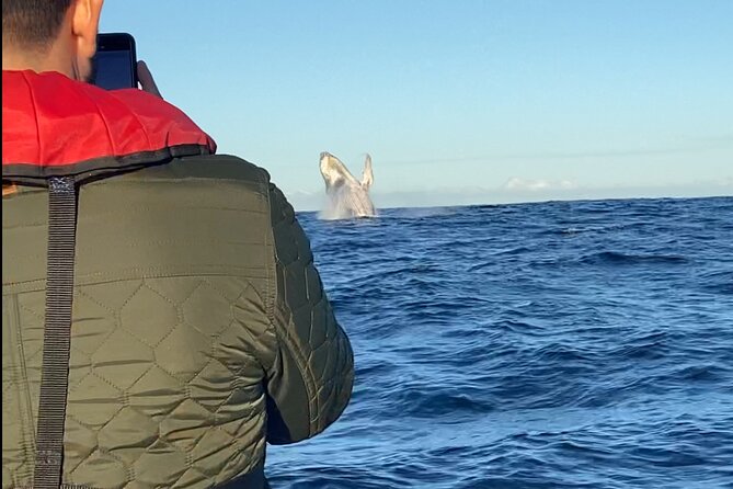 Whale Watching Gold Coast - What to Wear and Bring