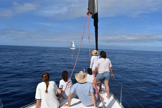 Whale Watching in Los Gigantes for Over 11 Years - Meeting and Pickup