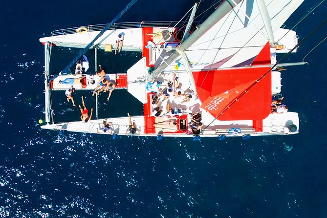 Whales Listening Eco-Catamaran Tour With Food Tasting - Tour Inclusions