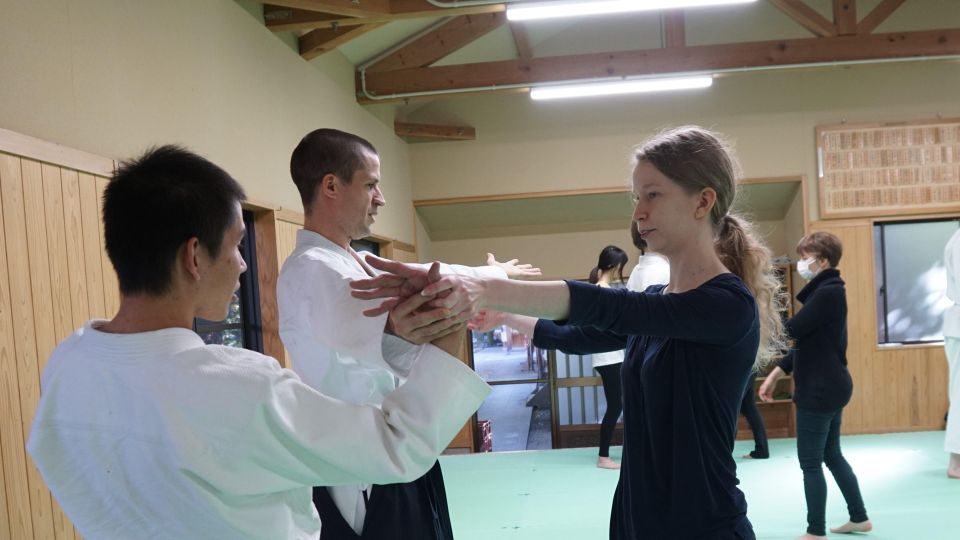 What Is Aikido? (An Introduction to the Japanese Martial Art - Techniques and Movements
