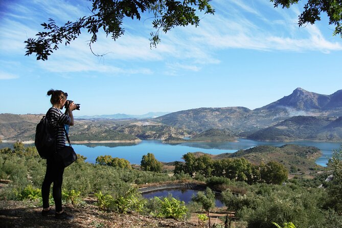 White Villages and Ronda Day Tour From Seville - Tour Itinerary