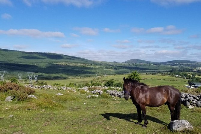 Wicklow Monutains Horse Trekking - Additional Details