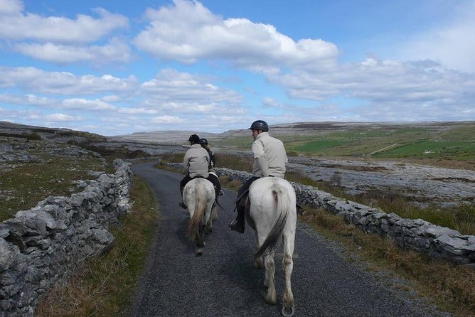 Wild Atlantic Way Horseback Riding Tour in County Clare (Mar ) - Last Words