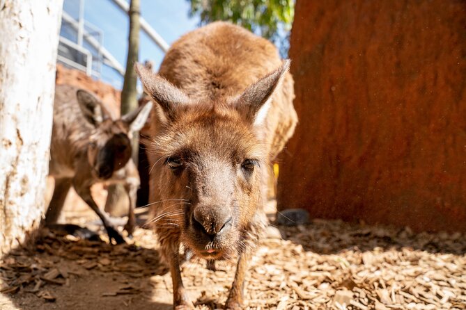 WILD LIFE Sydney Entrance Ticket - Start Time and End Point Details