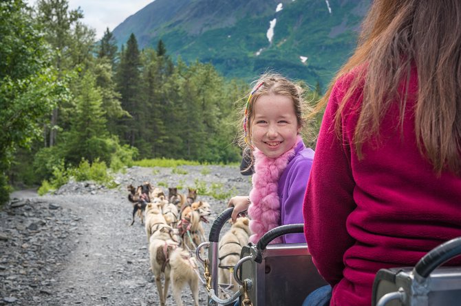 Wilderness Dog Sled Ride and Tour in Seward - Logistics