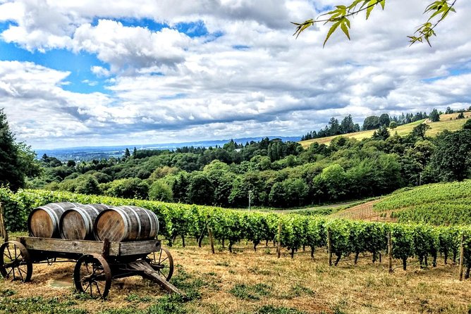 Willamette Valley Wine Tour - Full Day Tour - Itinerary Highlights