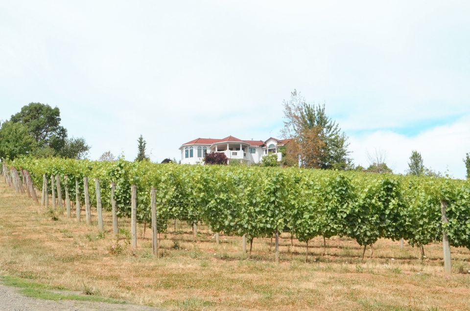 Willamette Valley Wine Tour (Tasting Fees Included) - Activity Details