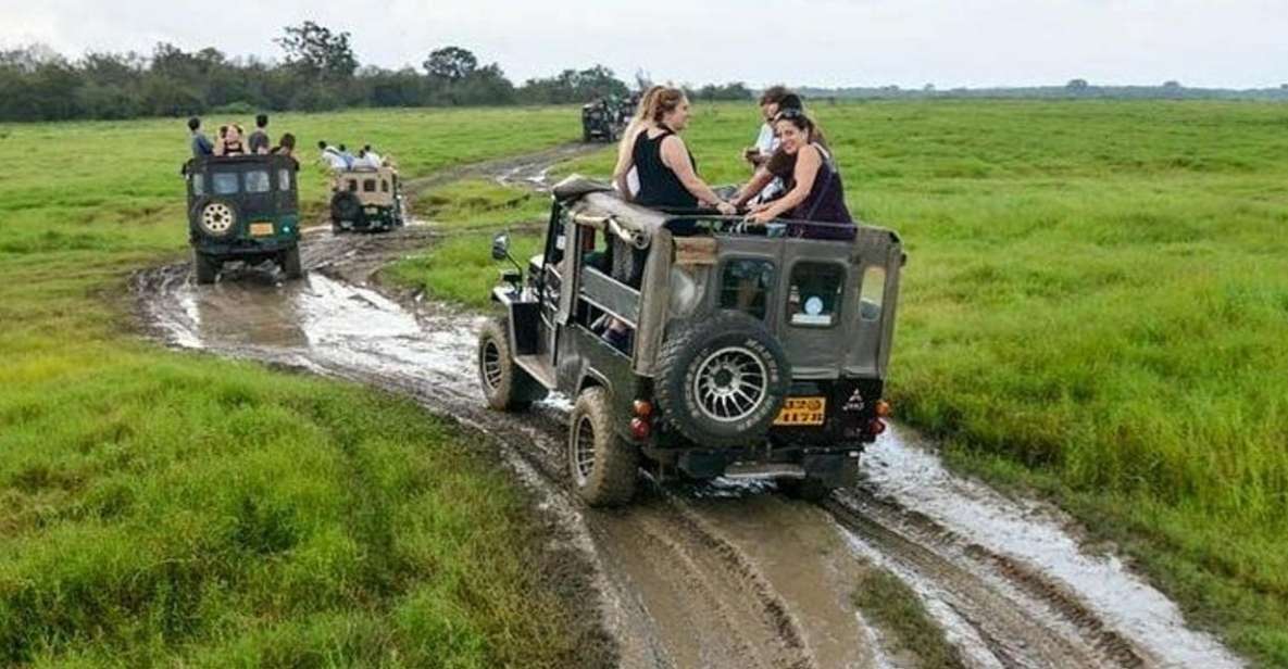 Wilpattu National Park With Safari Jeep & Entrance Ticket - Safety Measures