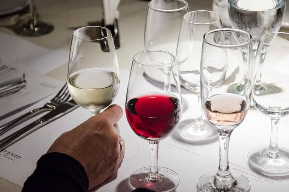 Wine Tasting and 3-Course Dinner at La Cava De El Querandi - Requirements for Participation