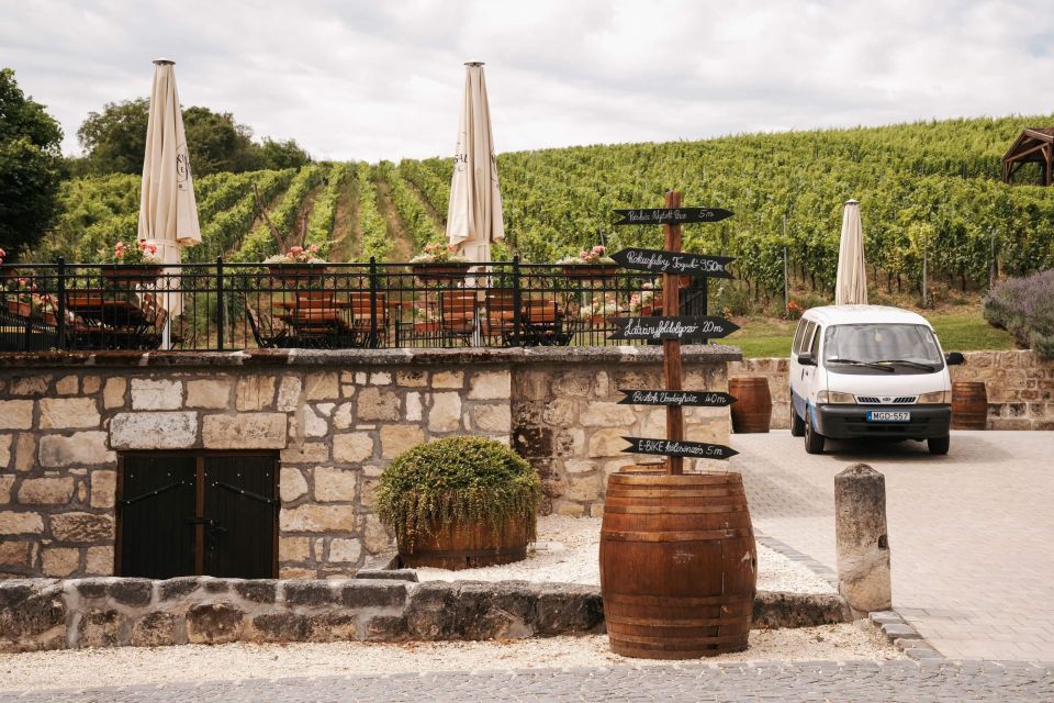 Wine Tasting Guided Tour at the Rókusfalvy Estate - Experience Details