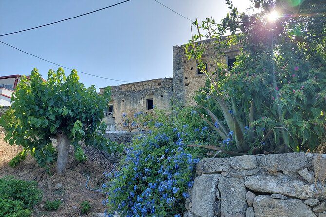 Wine Tasting: Meet the Cretan Vineyard at West Chania - Vineyard Tour