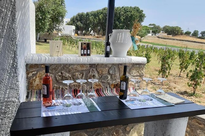 Wine Tasting Tour at a Traditional Farm in Mykonos - Customer Reviews