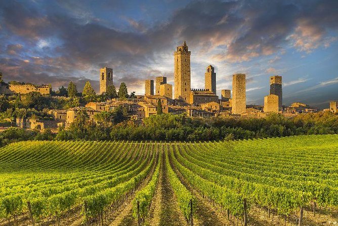Wine Tasting & Tuscany Countryside, San Gimignano & Volterra - Additional Information and Guidelines